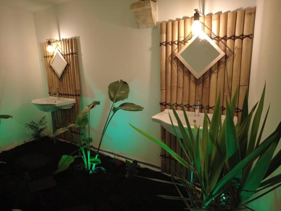 Kúpeľňa v ubytovaní Le Jardin d'Eden -Appartement de charme avec Sauna, Hammam, spa