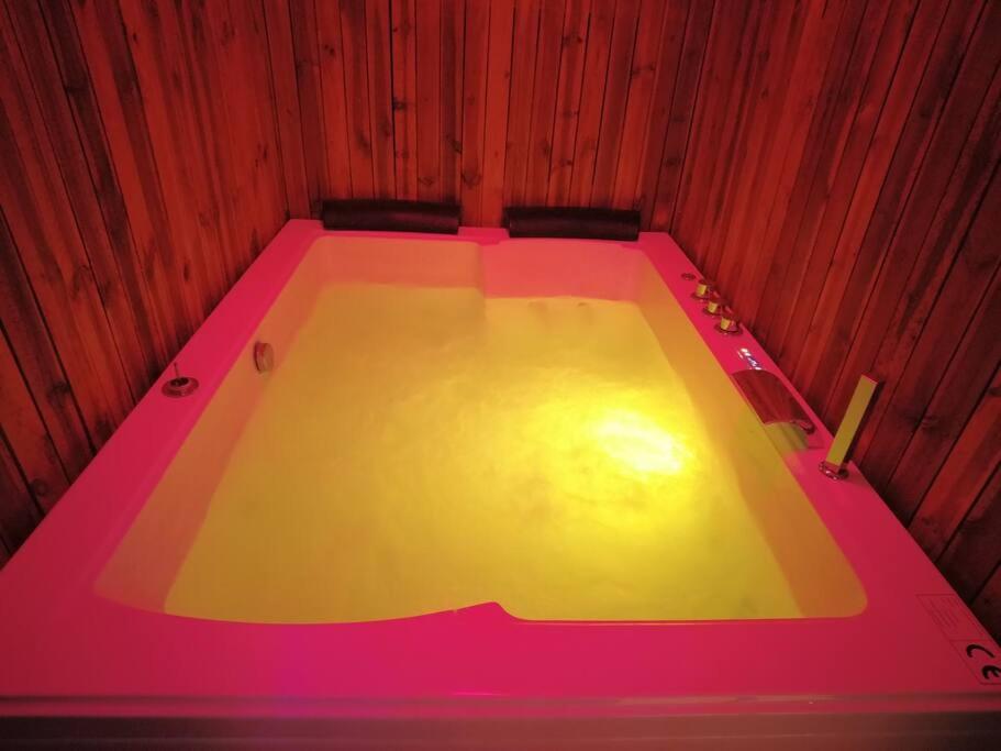 Fotografia z galérie ubytovania Le Jardin d'Eden -Appartement de charme avec Sauna, Hammam, spa v destinácii Issoudun