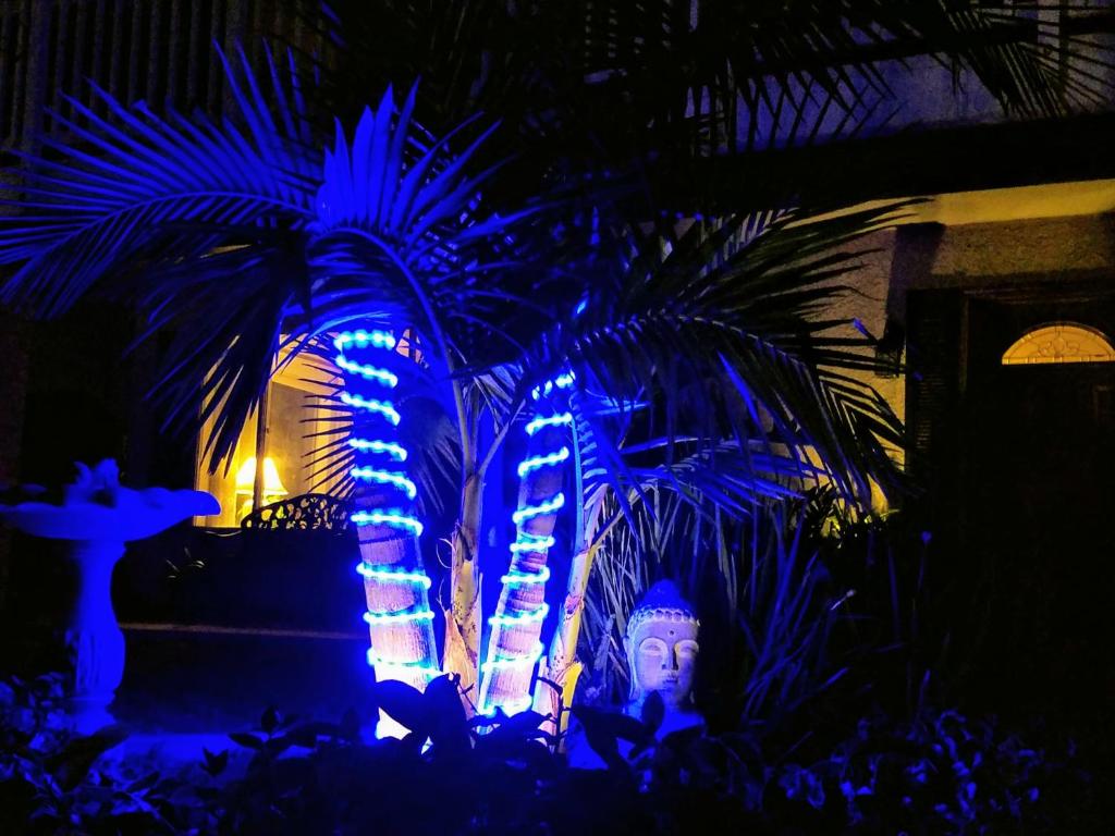 a house with blue lights in front of a palm tree at Tropical Retreat Close to Beach in Grover Beach