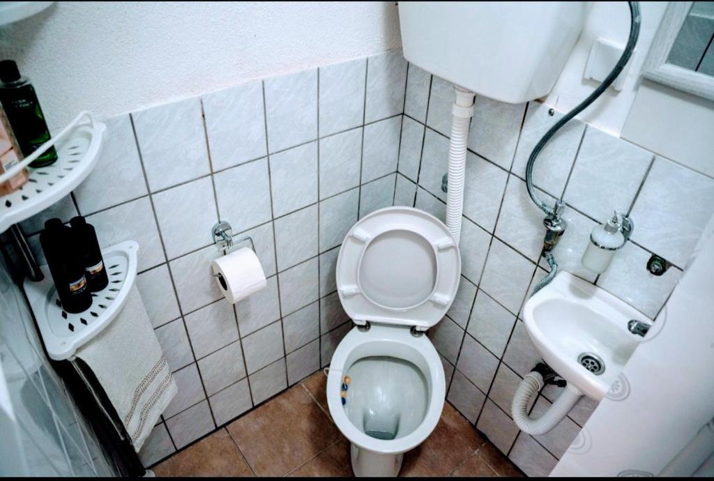 Koupelna v ubytování Stan na Dan Renata