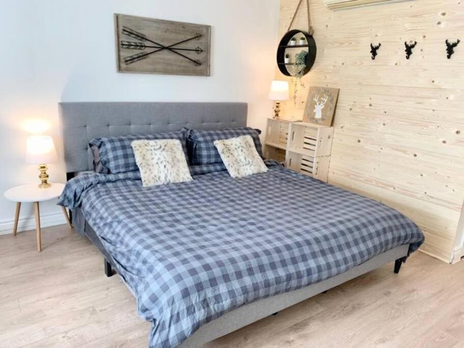 Loft LaprèSKI, Lit king, sauna/piscine et montagne, SaintFérréolles