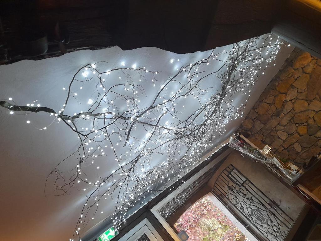 Fotografie z fotogalerie ubytování Hôtel Berceau Du Vigneron v destinaci Turckheim