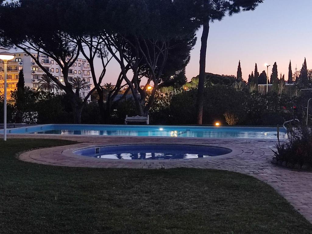 a small pool in the middle of a park at night at Vieira apartment 1 in Quarteira