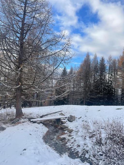Confort et espace pour cet appartement Duplex de 100 m2 avec Grand Sejour expose Sud avec Cheminee, 4 chambres , Acces Direct aux Pistes de Ski et au Golf dans la residence Edenarc avec Piscine, Jacuzzi et Spa v zime