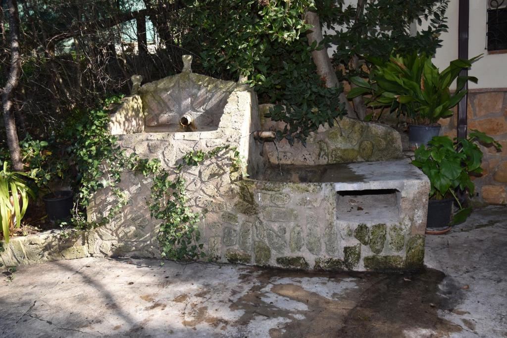 Fotografie z fotogalerie ubytování CASA RURAL FUENTE LA NOGUERA v destinaci Cazorla