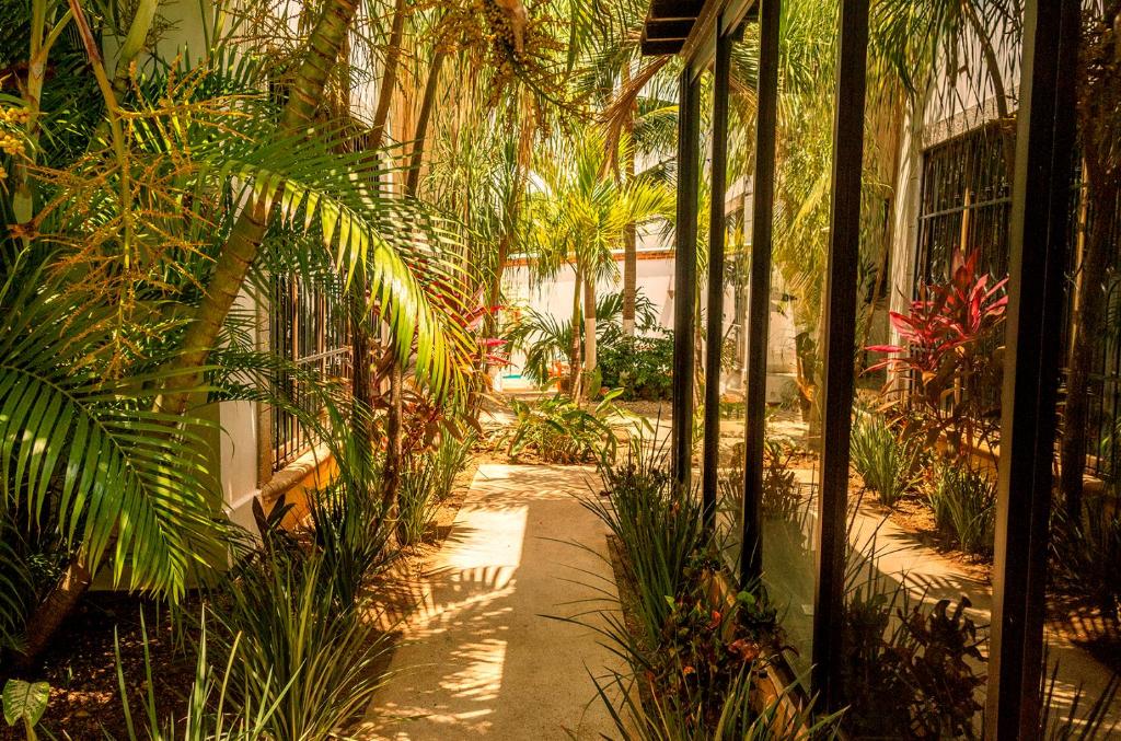 Zahrada ubytování Mezcal Hotel