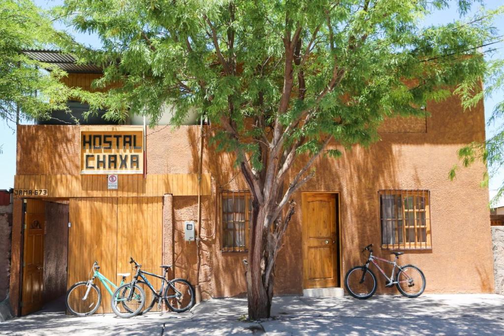 dos bicicletas estacionadas junto a un árbol frente a un edificio en Hostal Chaxa, en San Pedro de Atacama