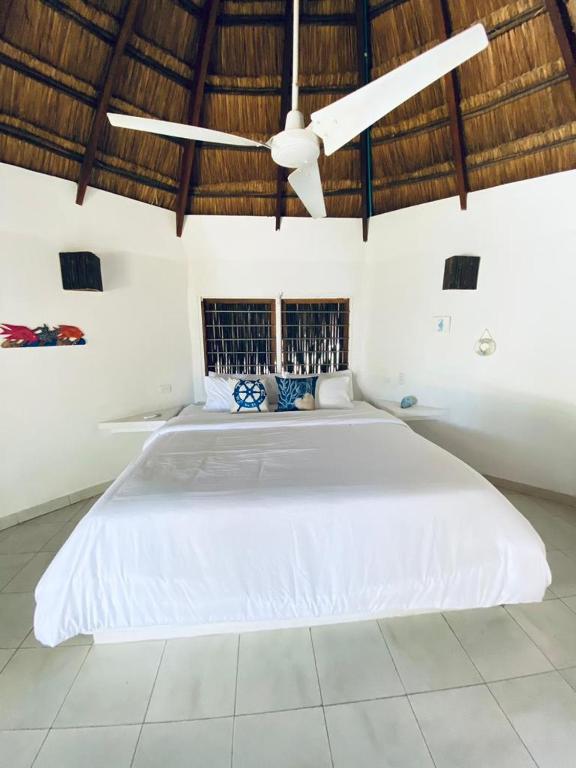 Mejores Hoteles en Isla Grande | Islas del Rosario 447925591