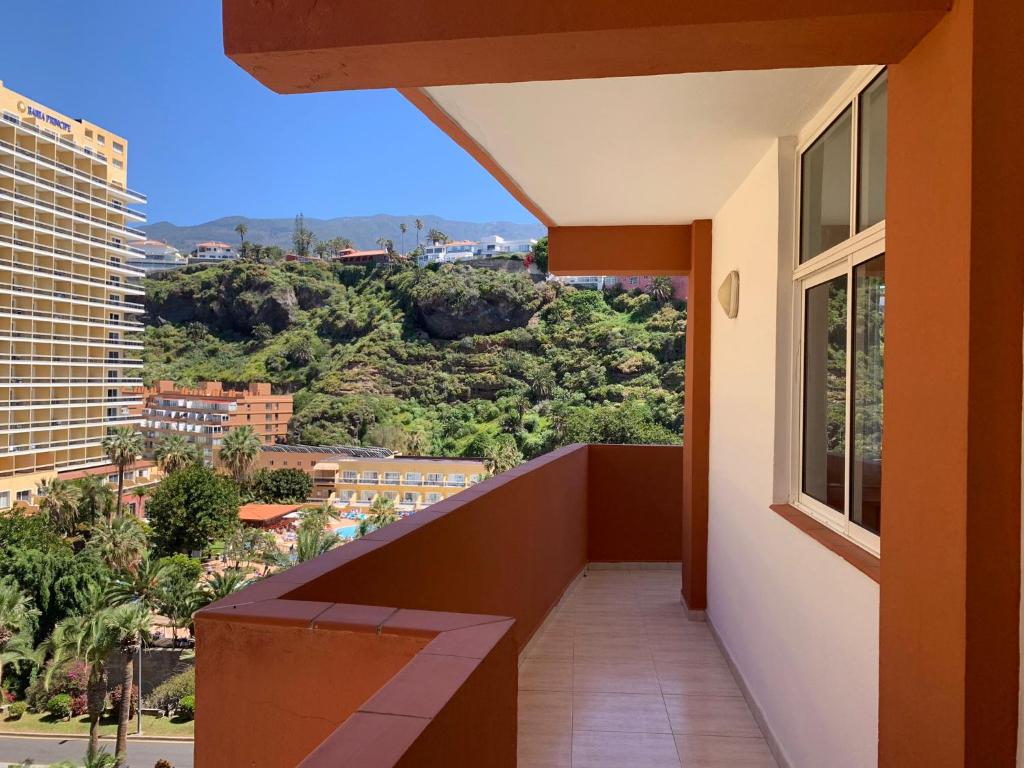 Fotografia z galérie ubytovania Céntrico con vistas al mar y el Teide v destinácii Puerto de la Cruz