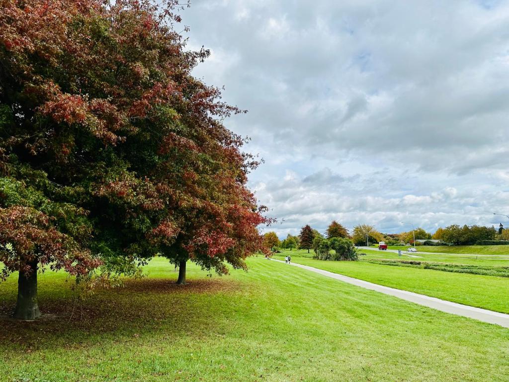 River Cottage - Resim 38