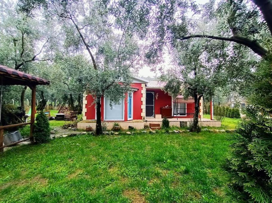 una casa roja en un patio con césped verde en bungalov ve göl kenarina kurulmuş sahil evi., 