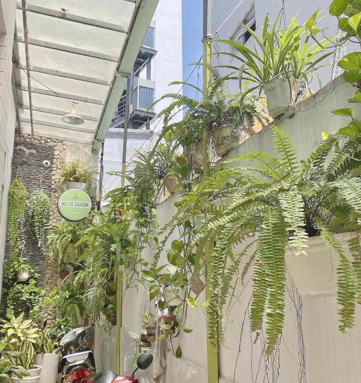 Zahrada ubytování Hello SaiGon Homestay