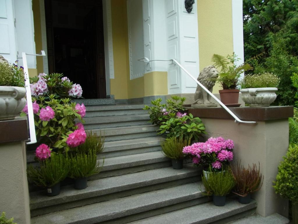 a porch with potted plants on the stairs of a house at Hotel Park Villa in Heilbronn