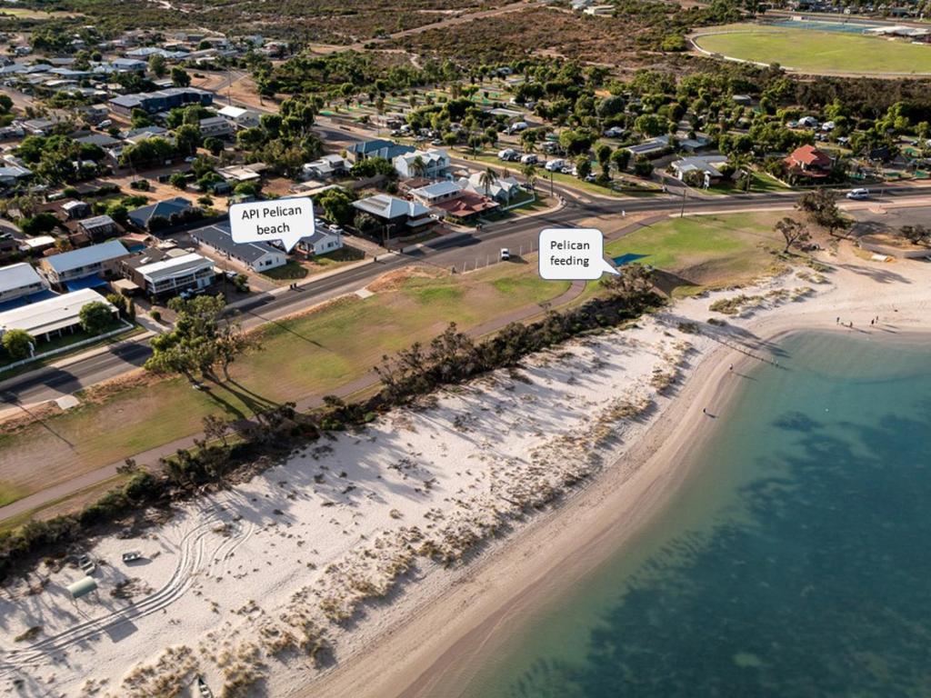 API Pelican Beach Front Apartments Kalbarri, Kalbarri Updated 2023 Prices