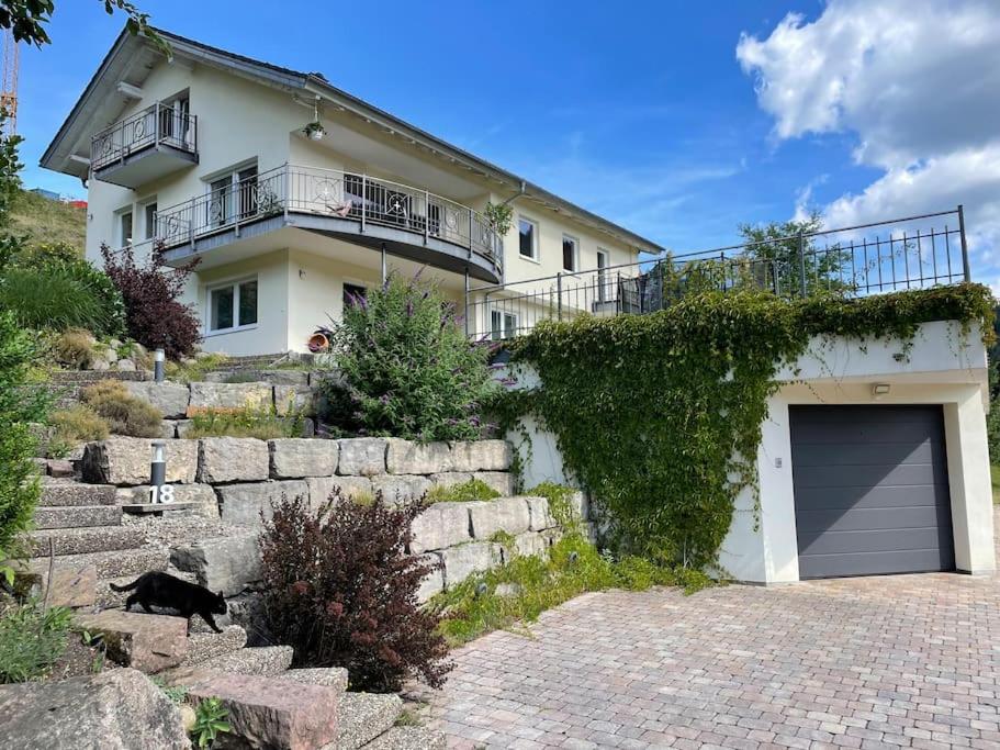a black cat walking in front of a house at Black Forest Lodge in Baiersbronn
