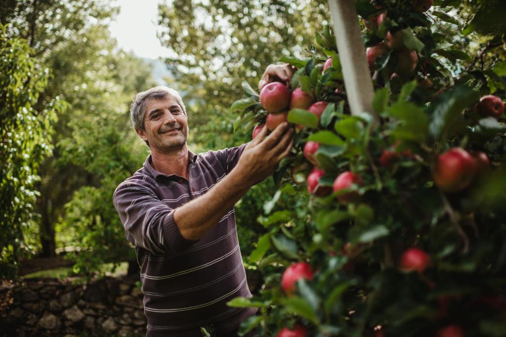Goście zatrzymujący się w obiekcie Waalhof Ferienwohnung Mohnblume