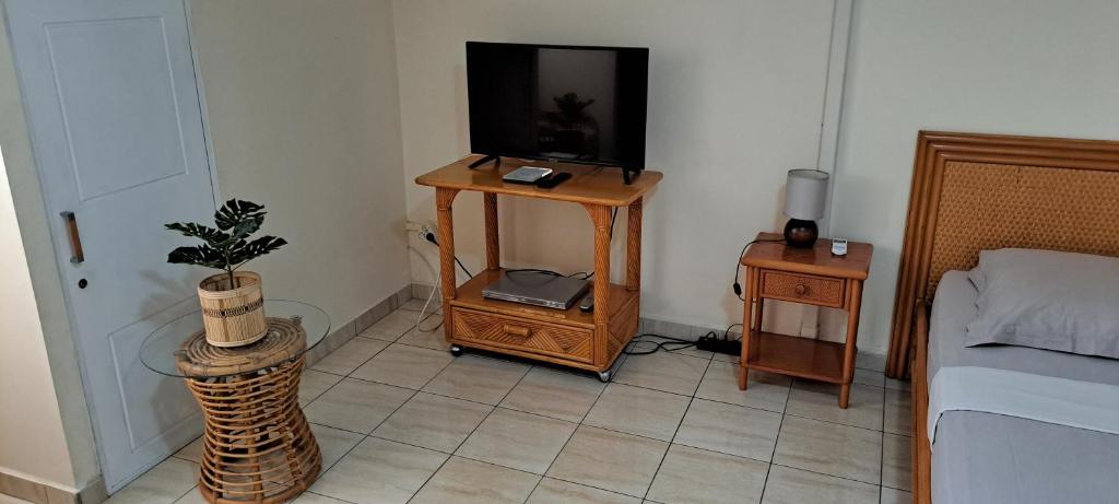 TV a/nebo společenská místnost v ubytování Logement spacieux deux pièces à Baie Mahault
