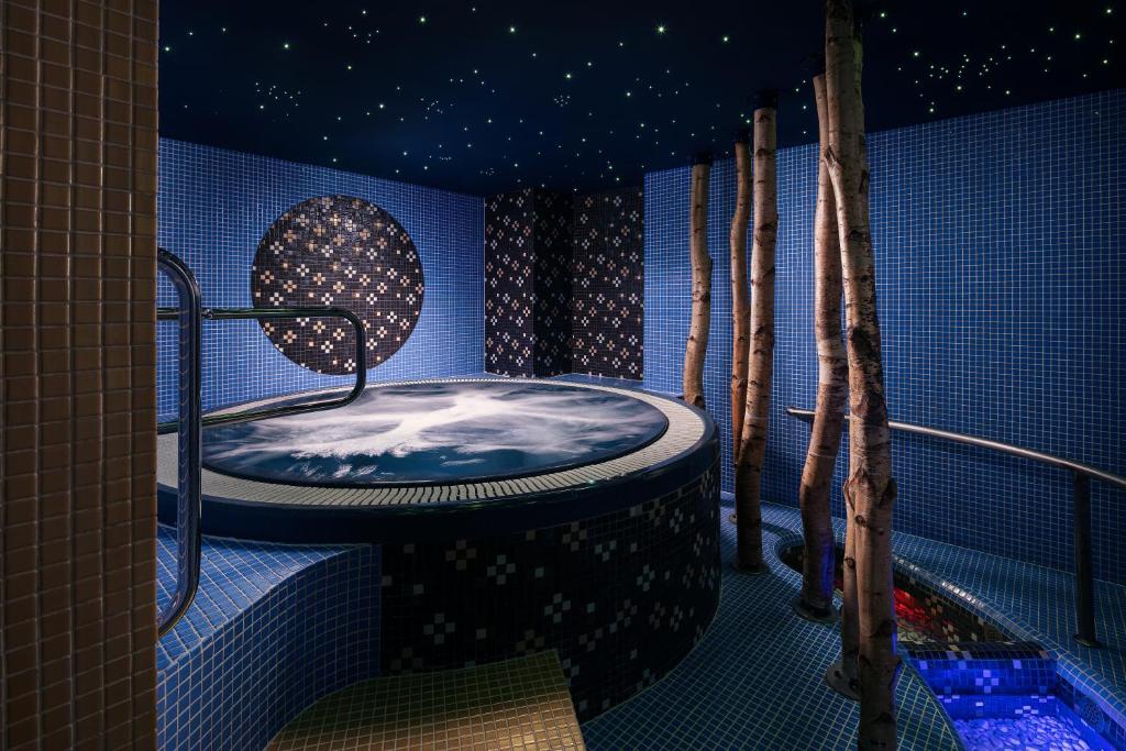 Spa Hotel Villa Smetana - Resim 17