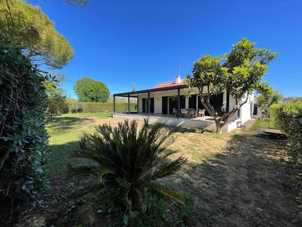 a house with a palm tree in front of it at Villa bord de mer in Hyères