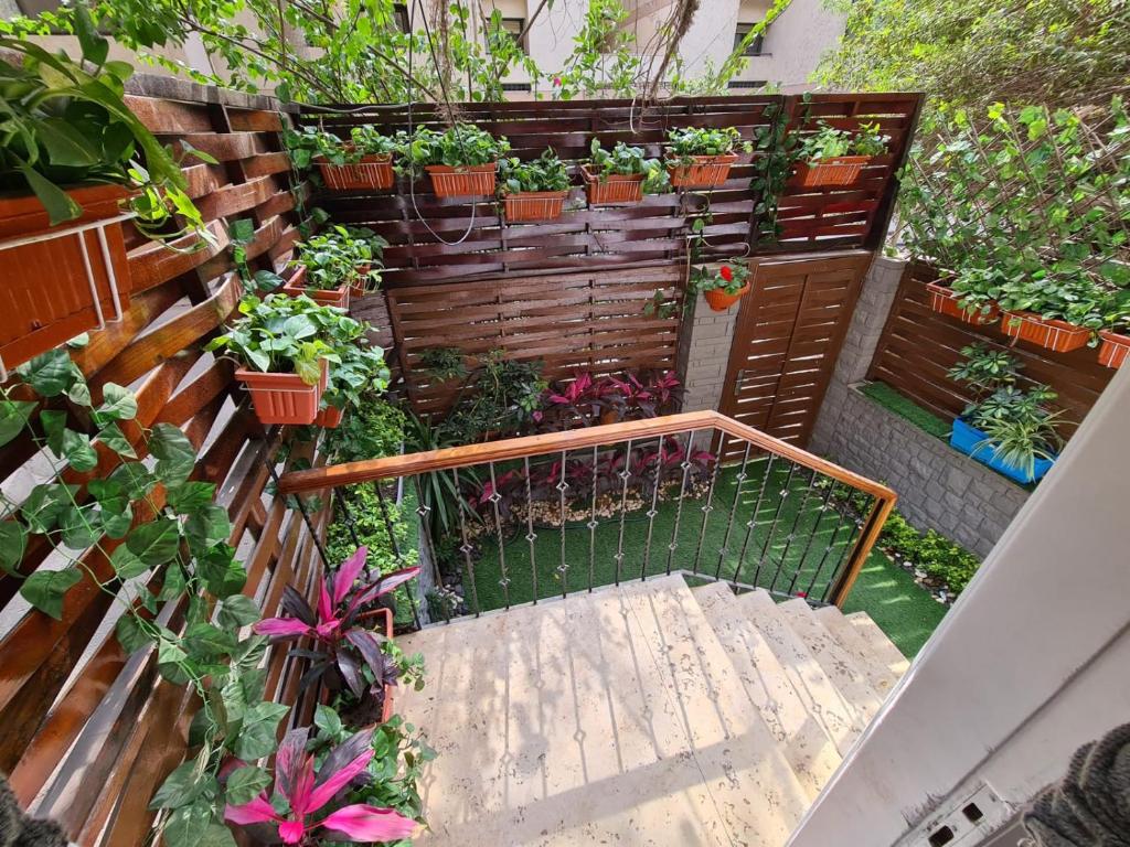 un jardín con macetas y una escalera de madera en The Hideaway, en El Cairo