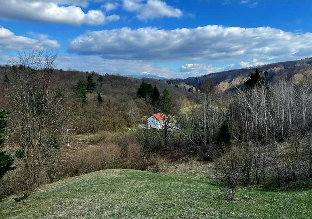 普利特維采湖的住宿－Villa Andjelija，树木林立的田野中的房子