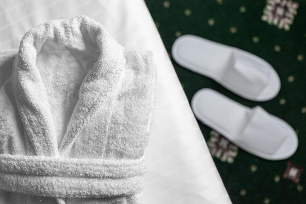 Spa Hotel Villa Smetana - 4