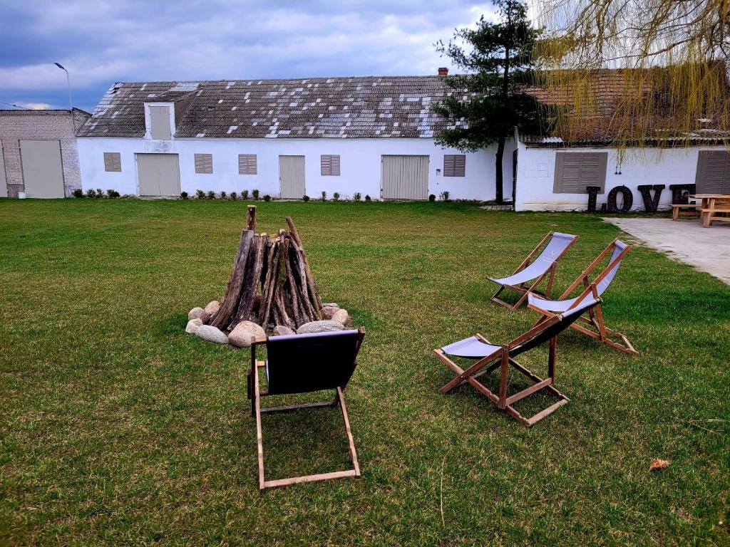 two chairs and a fire pit in a yard at Rusiborek Slow in Murzynowo Kościelne