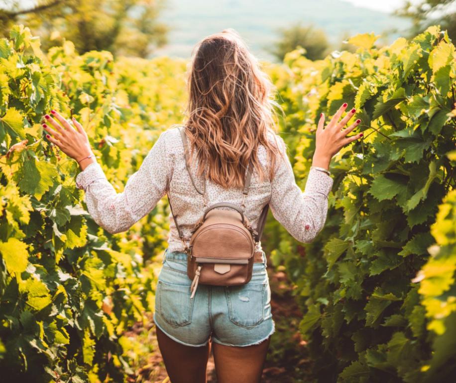 a woman walking through a vineyard with her hands up at Ferienhaus Scheer in Retz