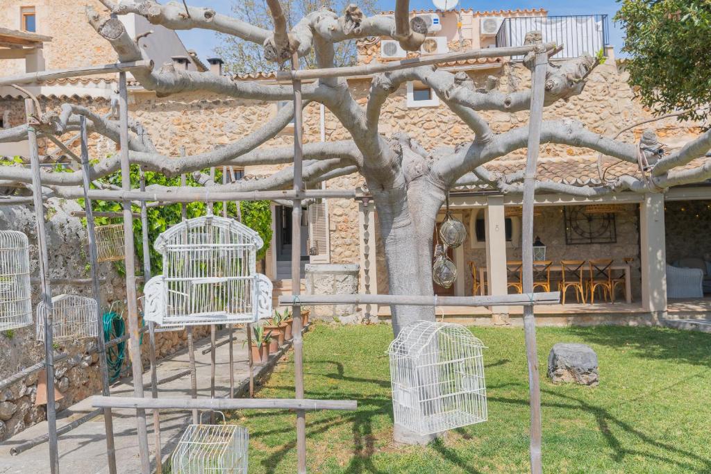 Zahrada ubytování Pintor - Rustic Mallorquin town house 3 bedrooms and pool in Caimari