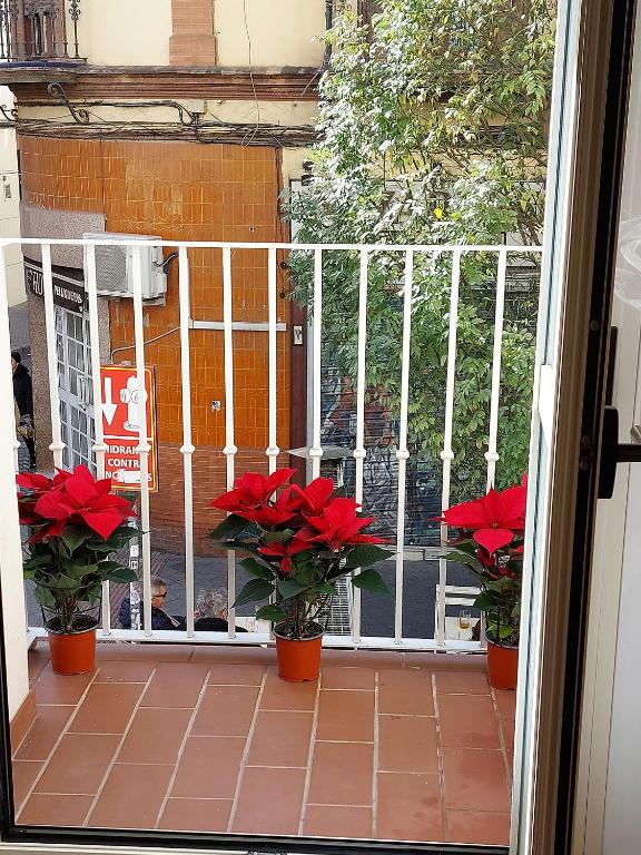 A balcony or terrace at bt6gallos