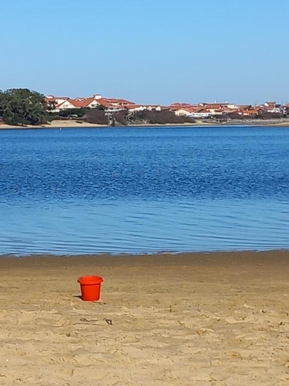 Photo de la galerie de l'établissement Villas du lac Appart 4 à 6 personnes, à Soustons
