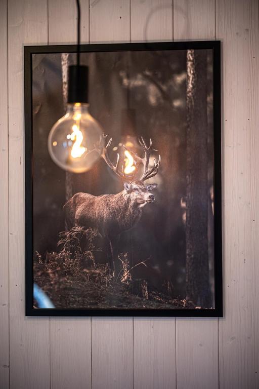 Fotografie z fotogalerie ubytování Wynki no. 69 v destinaci Łukta