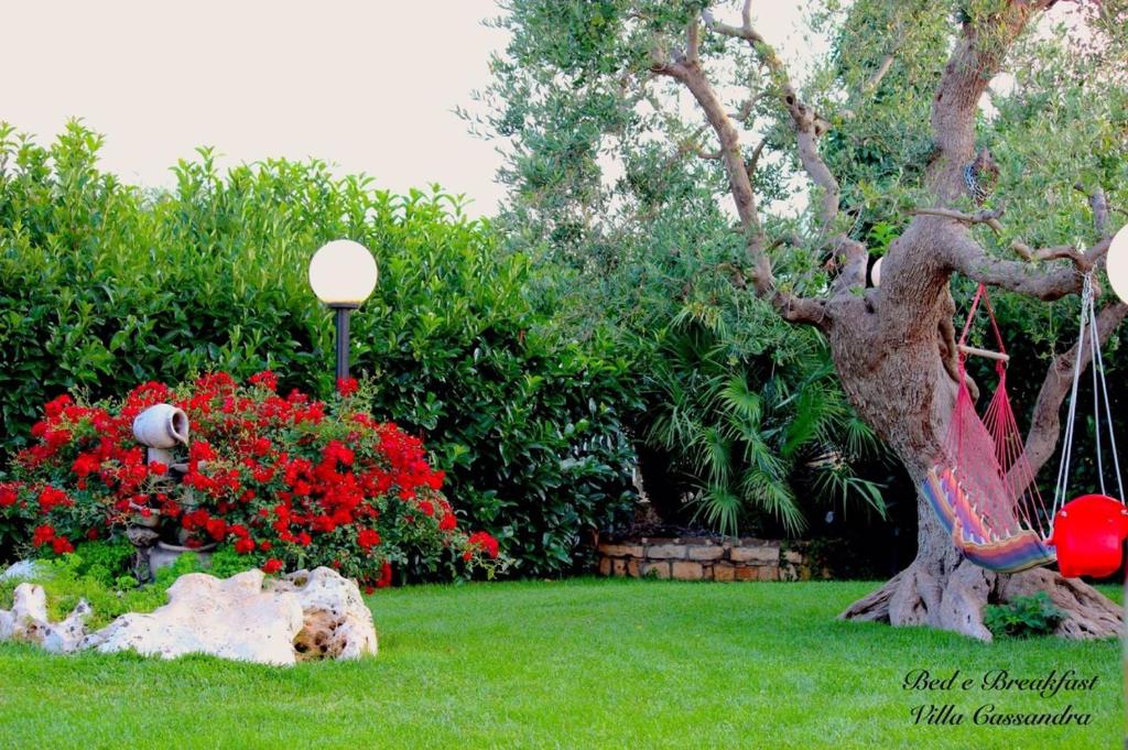 B&B Villa Cassandra - 17