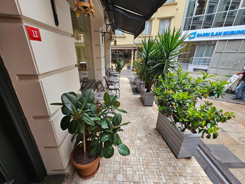 a row of potted plants on the side of a building at Anthemis Hotel in Istanbul