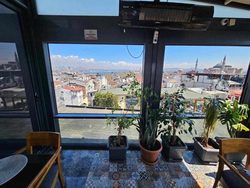 a view of a city from a window with plants at Anthemis Hotel in Istanbul