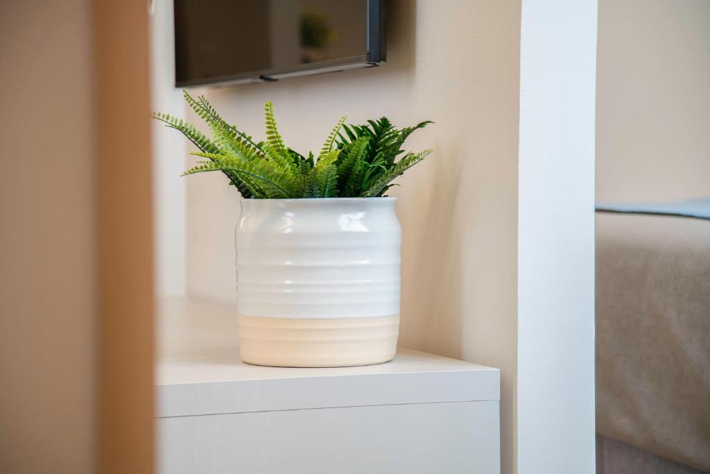 Fisa Rentals Ramblas Apartments - 15