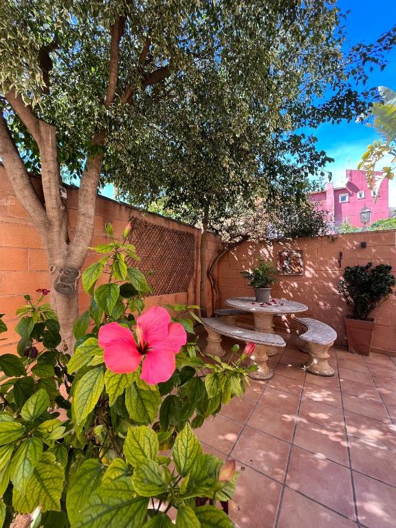 Fotografie z fotogalerie ubytování Casa Buganvillas en L'Alfàs del Pí v destinaci Alfaz del Pi