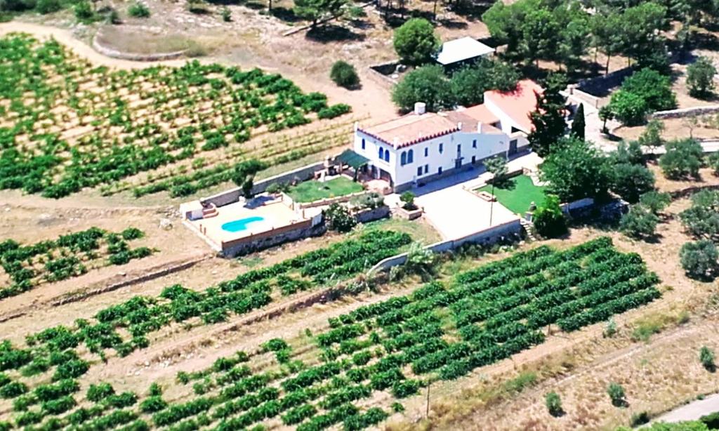 uma vista aérea de uma casa com uma vinha em Masia St Salvador 1582 em Cubelles