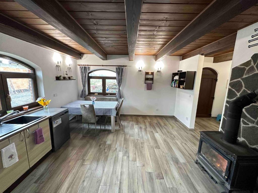 Kuchyň nebo kuchyňský kout v ubytování Penzion - Apartman Přestavlky