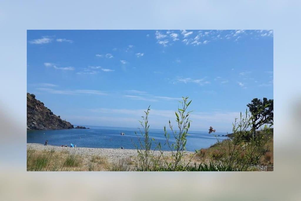 a view of a beach with the ocean in the background at Vue mer, crique de Peyrefite, Cerbère-Banyuls. in Cerbère