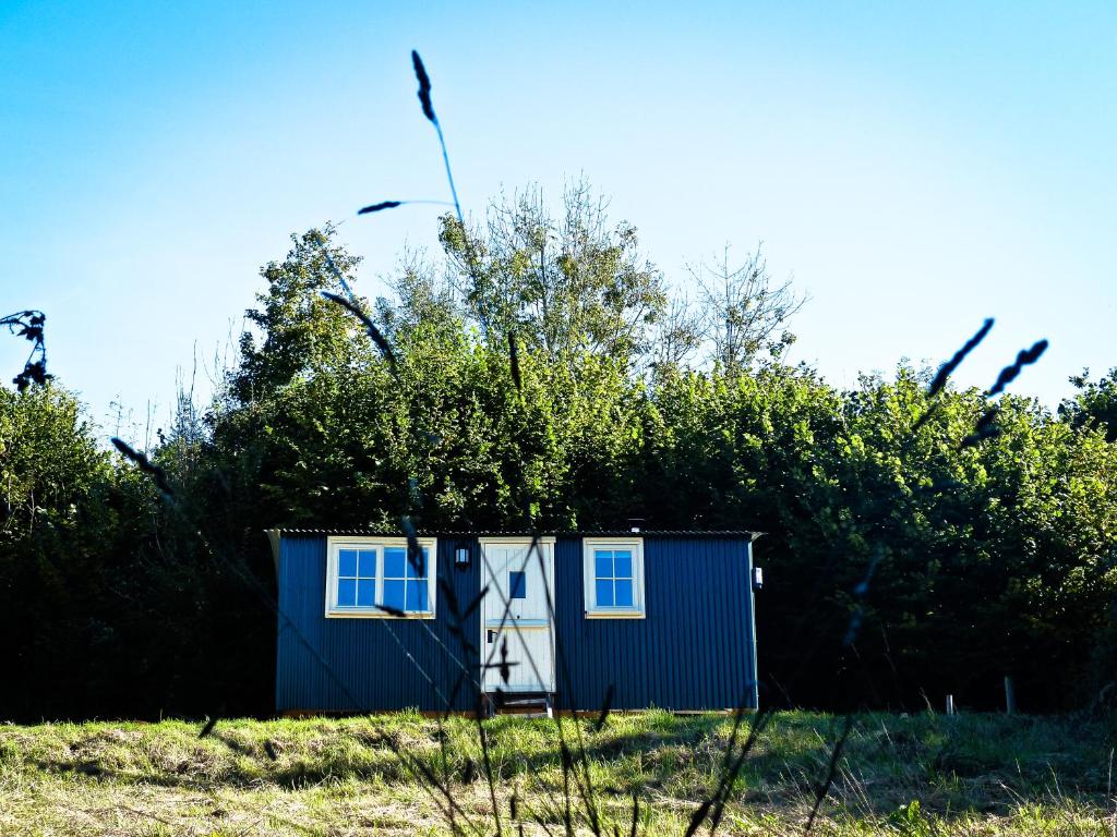 una piccola baracca blu in mezzo a un campo di Oak Shepherds Hut a Wootton Fitzpaine