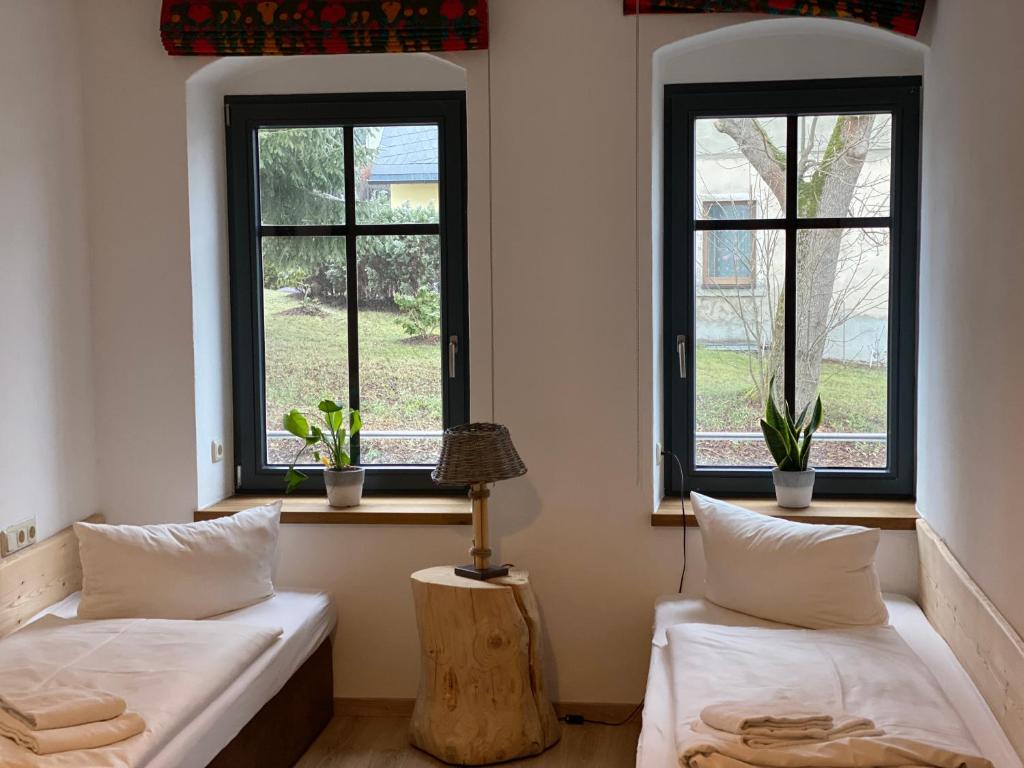two beds in a room with two windows at Fasa Lodge in Kurort Oberwiesenthal