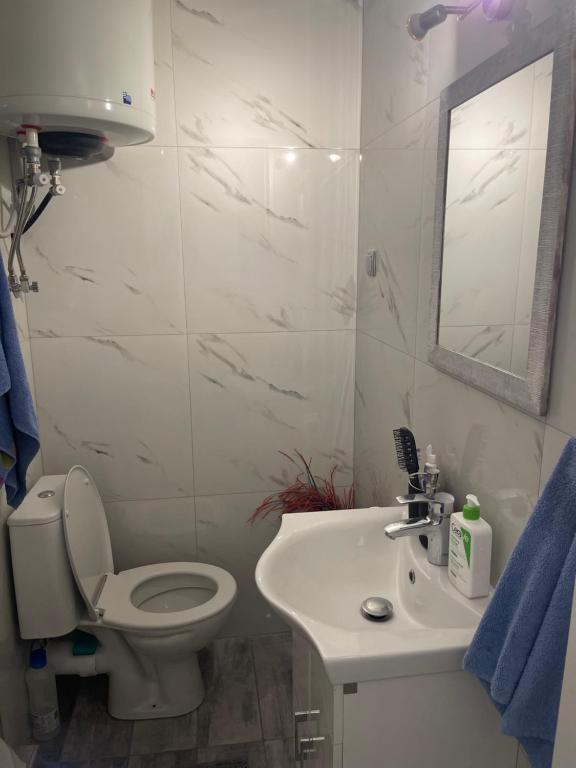 W łazience znajduje się toaleta, umywalka i lustro. w obiekcie Tzanet home w mieście Kawala