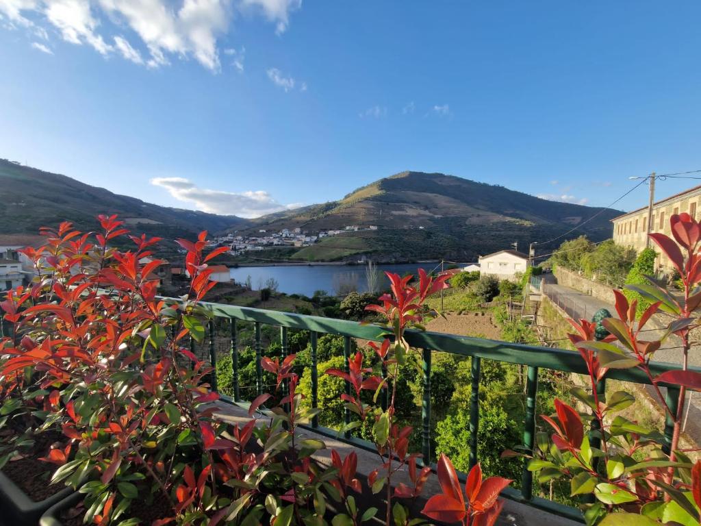 a view of a lake from a balcony with red flowers at Casa dos Avós - Folgosa Douro in Folgosa