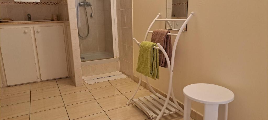 Koupelna v ubytování Logement spacieux deux pièces à Baie Mahault