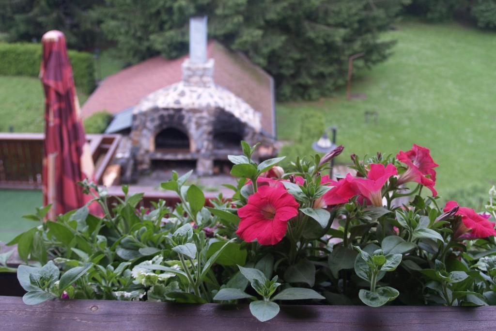 Zahrada ubytování Hotel Pavla Vysočina