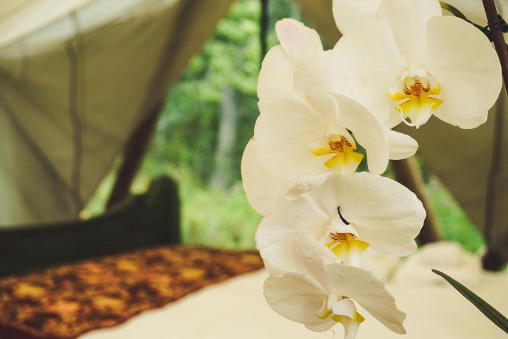 Zahrada ubytování Fronterra Farm- Luxury Camp Experiences