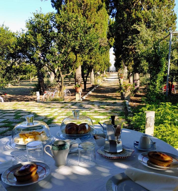 Zahrada ubytování Agriturismo Villa Coluccia