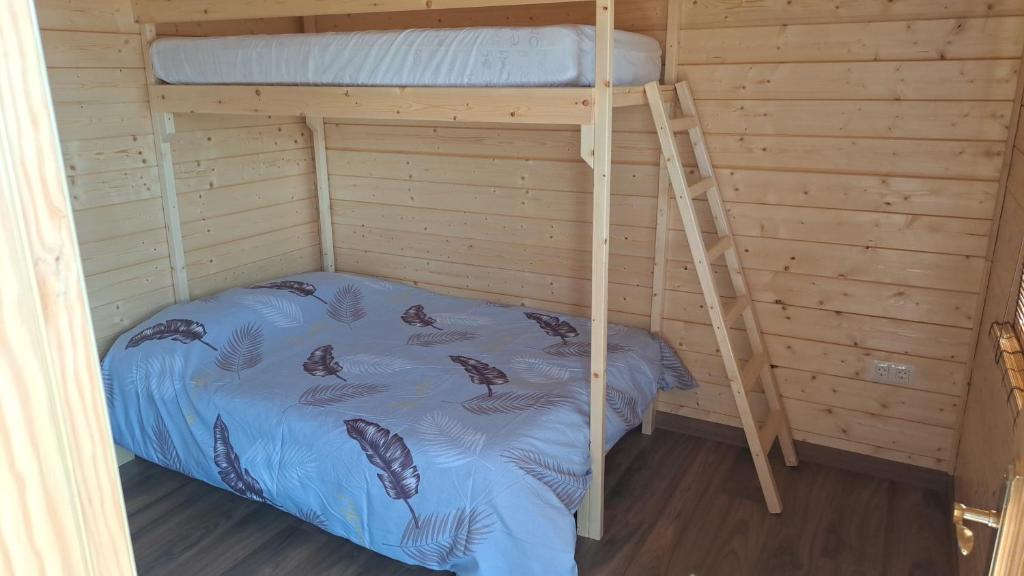 a bunk bed in a wooden room with a ladder at Las casitas de Pao in El Pinar del Hierro