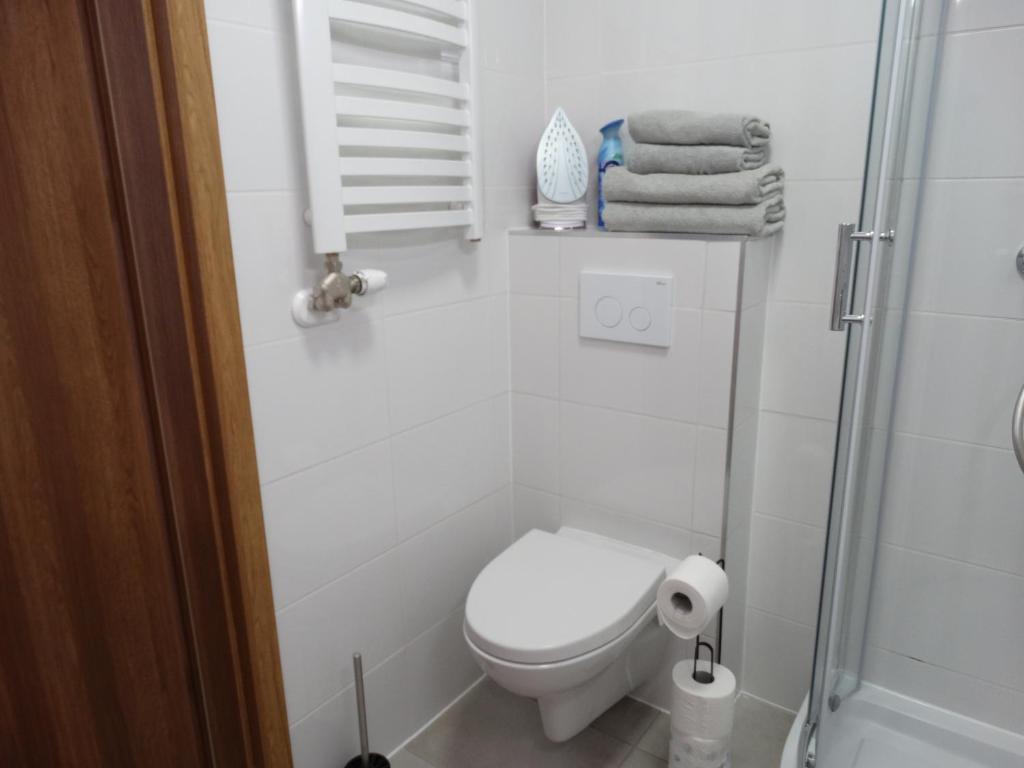 Kúpeľňa v ubytovaní Apartamenty Tatrzańska Dolina